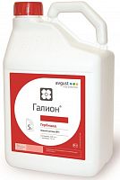 �������� ������