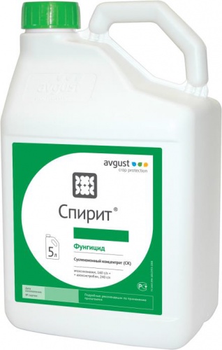 �������� ������ ���������