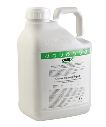 ����� ������ �����