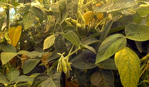 ���������� ����� � ������� �������� �������� ��� �� �������� �����