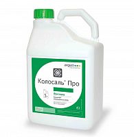 �������� �������� ���