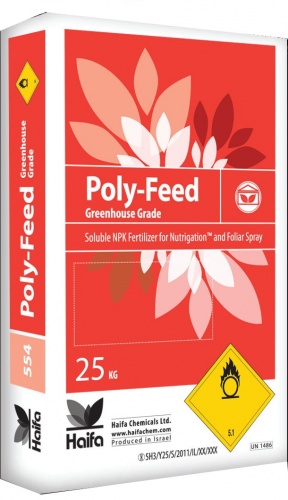 ����������� ��������� ������� 21-11-21