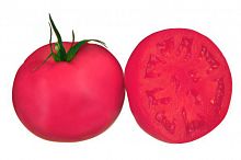 ������ ������ ���� ���� F1 �� Sakata