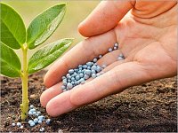 ��� ����� ���������?