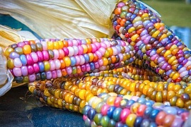 ����������� ��������� � ������������� ��� �� ������