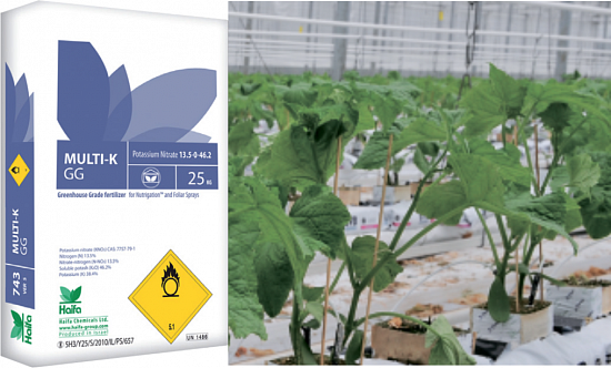 Multi-K GG �������� ������� (������ �����)