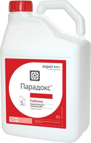 �������� ��������