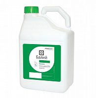 �������� �����