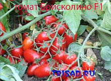 ������ ������������ ������ ���������� F1 �� Unigen Seeds