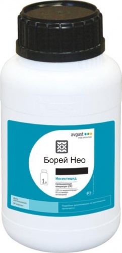 ���������� ����� ���