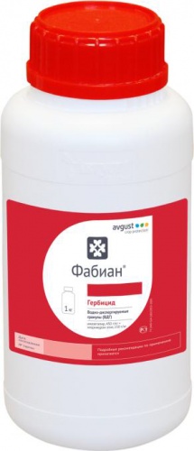 �������� ������